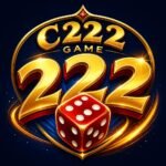 C222 game