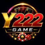 Y222 Game