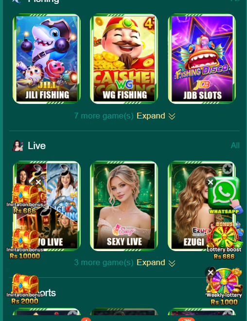 ZC999 Game
